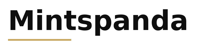 Mintspanda logo